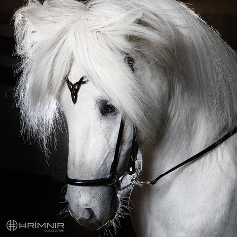 Hrimnir Kopfstück Heritage D