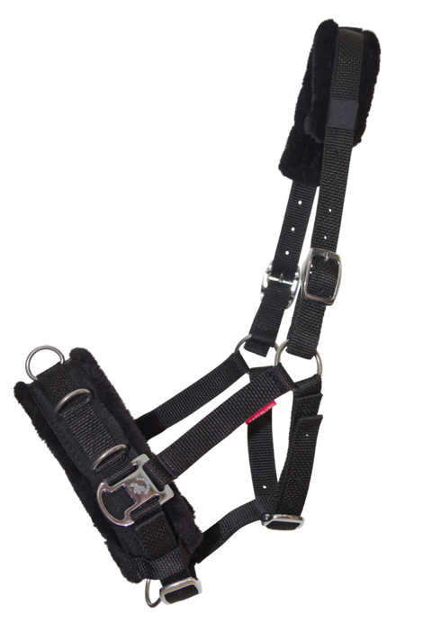 Karlslund Kappzaum, Nylon