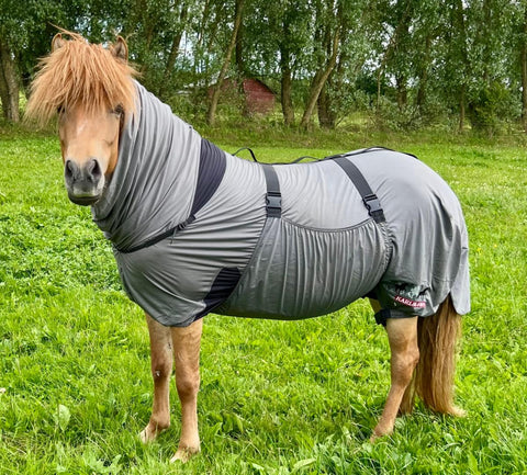 Karlslund Matti Ekzemdecke