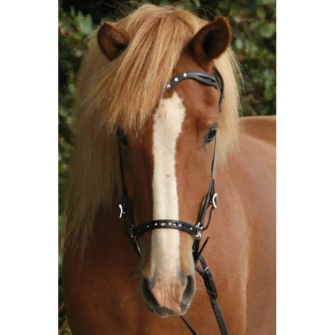 Nordic Horse Kopfstück