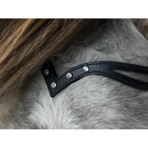 Nordic Horse Kopfstück