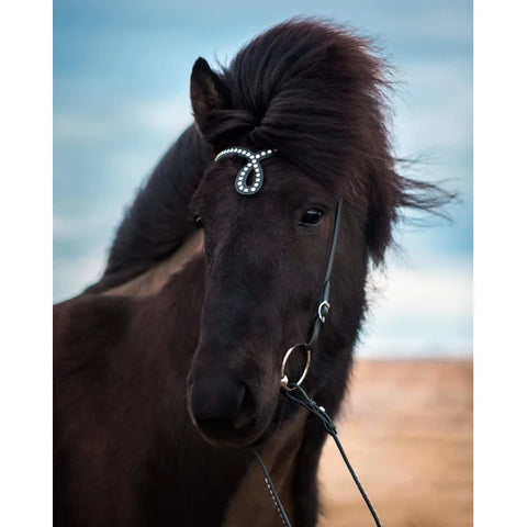 Nordic Horse Kopfstück "Drop"