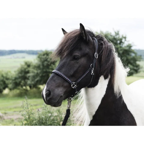Nordic Horse Lederhalfter mit Steine in Islandfarben