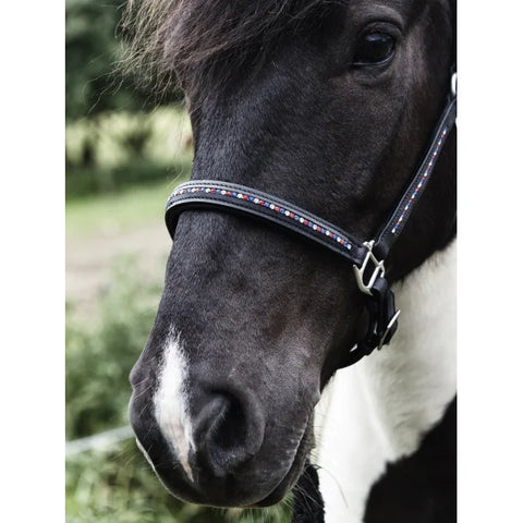 Nordic Horse Lederhalfter mit Steine in Islandfarben