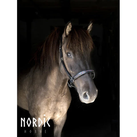 Nordic Horse Lederhalfter mit Steine in Islandfarben