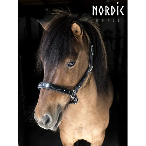 Nordic Horse Lederhalfter mit Prägung und Steinen