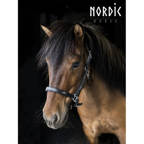 Nordic Horse Lederhalfter, Model Julia