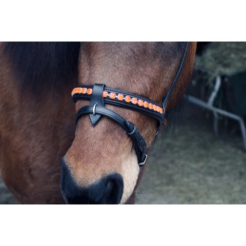 Nordic Horse, Englisch kombinierter Nasenriemen in leuchtenden Farben