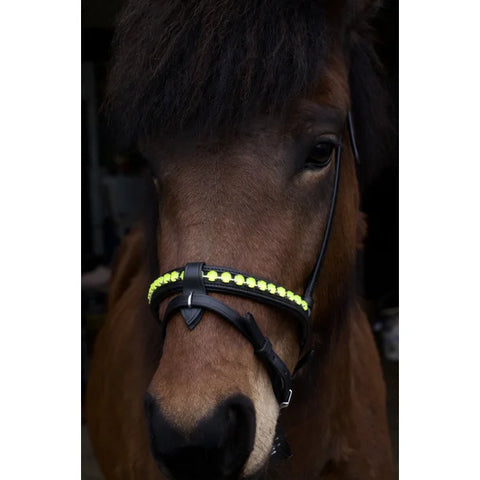 Nordic Horse, Englisch kombinierter Nasenriemen in leuchtenden Farben