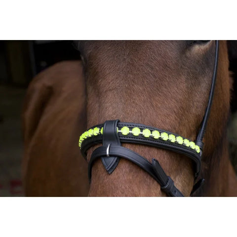 Nordic Horse, Englisch kombinierter Nasenriemen in leuchtenden Farben