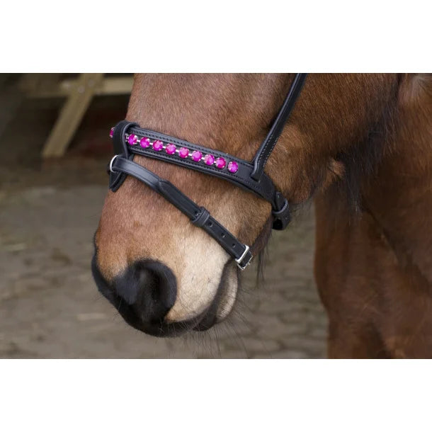 Nordic Horse, Englisch kombinierter Nasenriemen in leuchtenden Farben