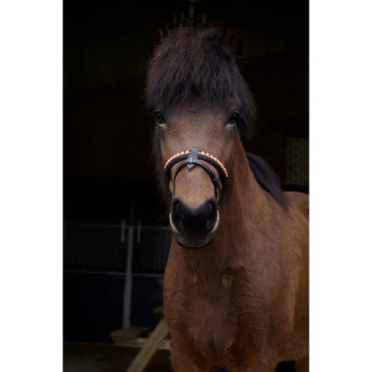Nordic Horse, Englisch kombinierter Nasenriemen in leuchtenden Farben