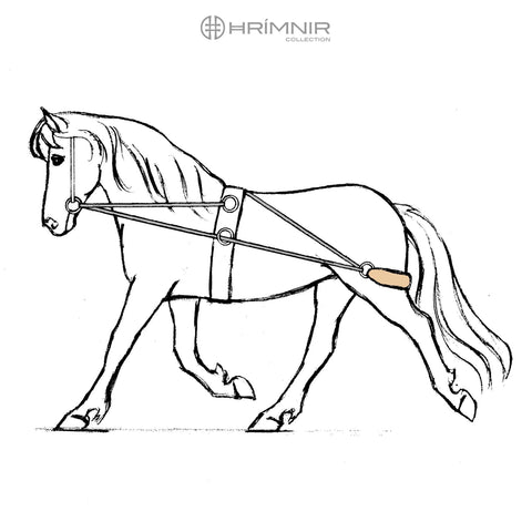 Hrimnir Passoa Longiergeschirr