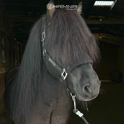 Hrimnir Halfterset Premium