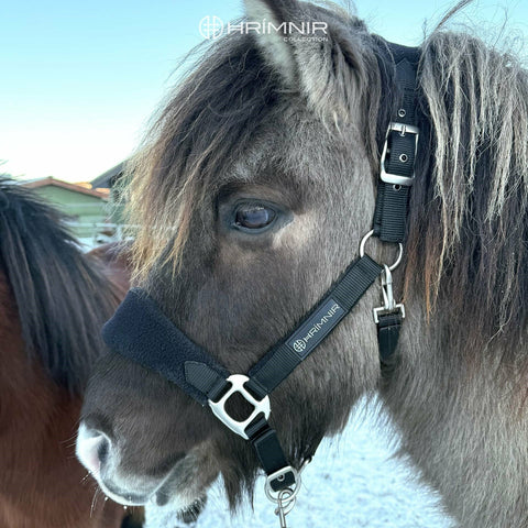 Hrimnir Halfterset Premium
