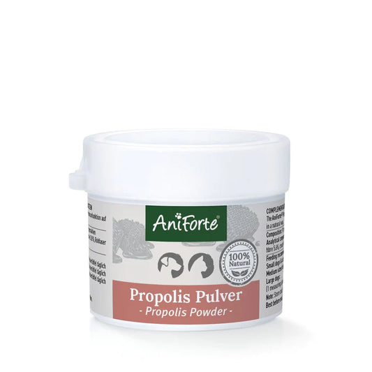 Aniforte Propolis Pulver