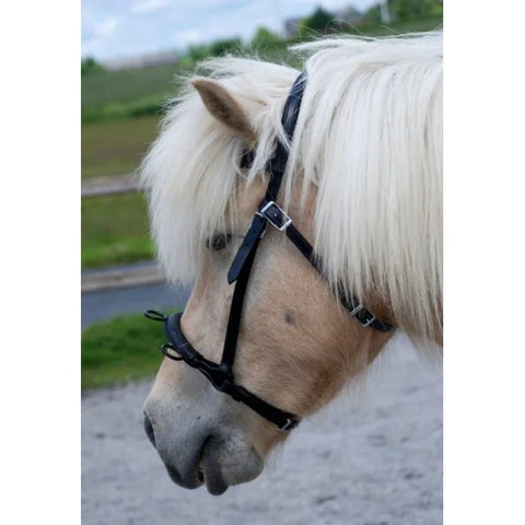 Nordic Horse Reitkappzaum