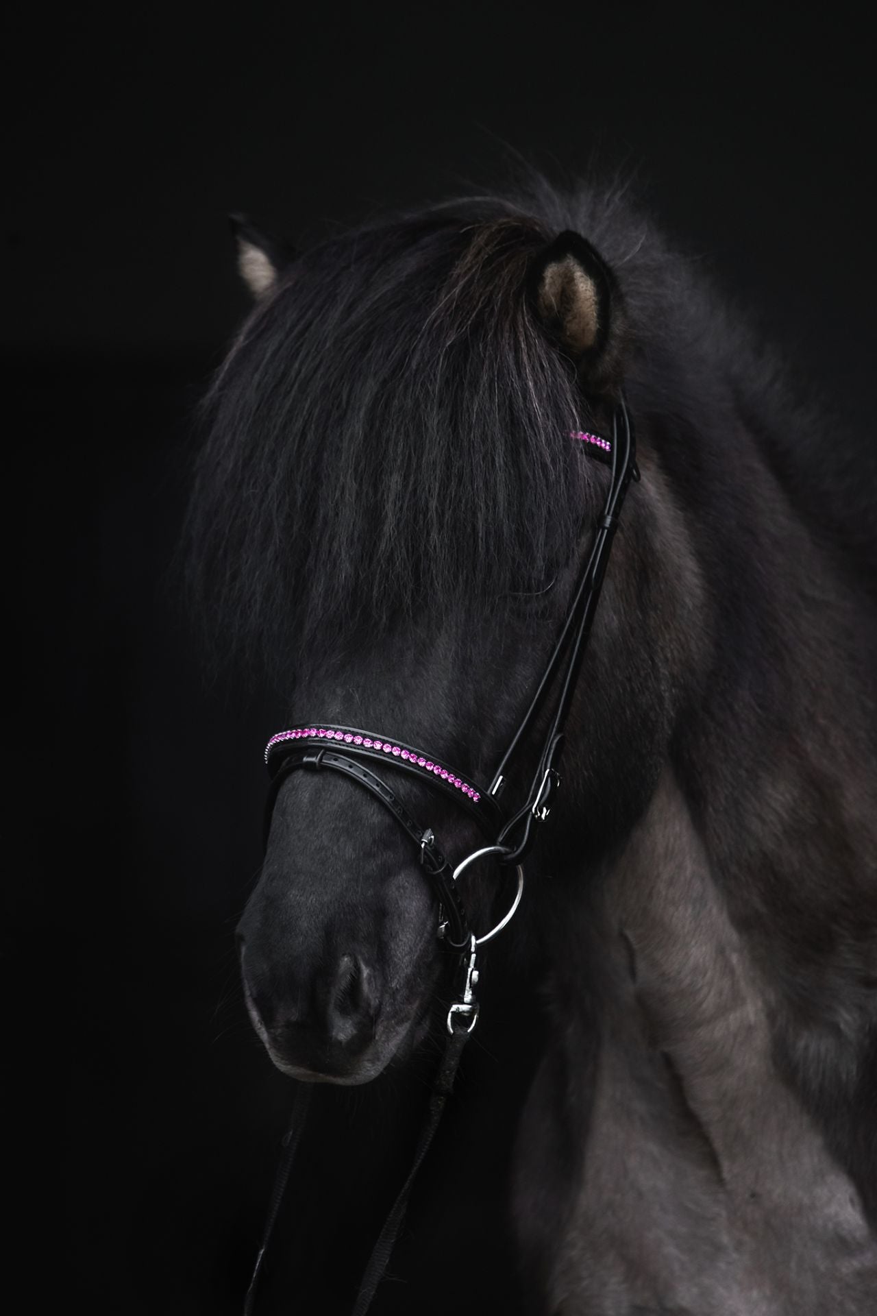 Top Reiter Nasenriemen Demantur, Englisch-Kombiniert, Pink