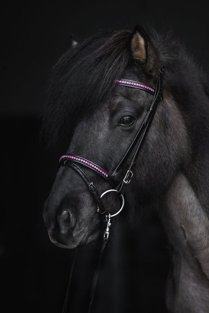 Top Reiter Demantur Kopfstück, Pink