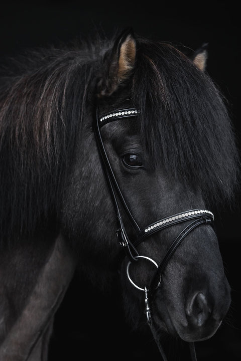 Top Reiter Nasenriemen Demantur, Englisch-Kombiniert, weiß