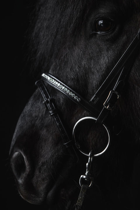 Top Reiter Nasenriemen Demantur, Englisch-Kombiniert, weiß