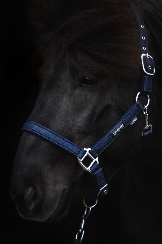Top Reiter Halfter Glitrandi, Blau