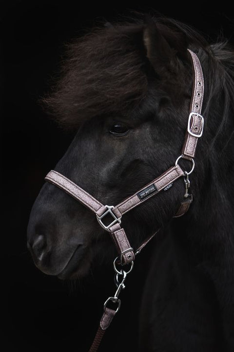 Top Reiter Halfter Glitrandi, Pink