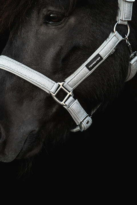 Top Reiter Halter Glitrandi, Copper