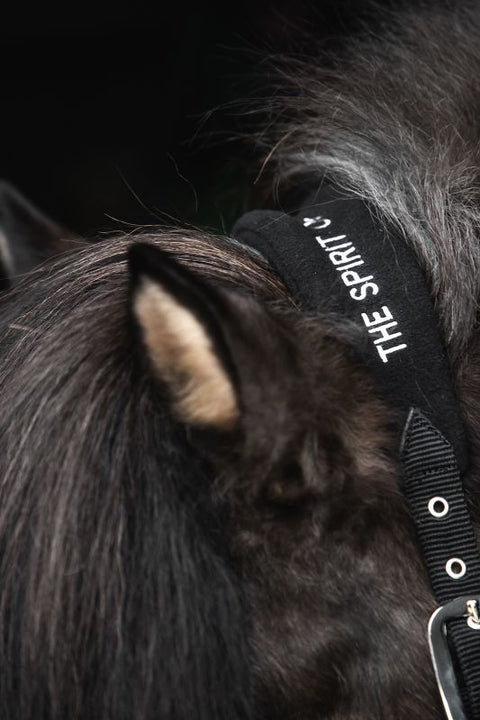 Top Reiter Klaki Halfter Set, Schwarz