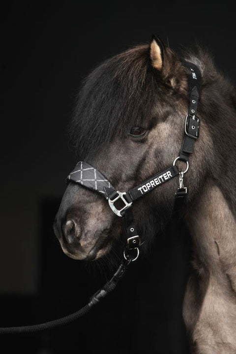 Top Reiter Klaki Halfter Set, Schwarz