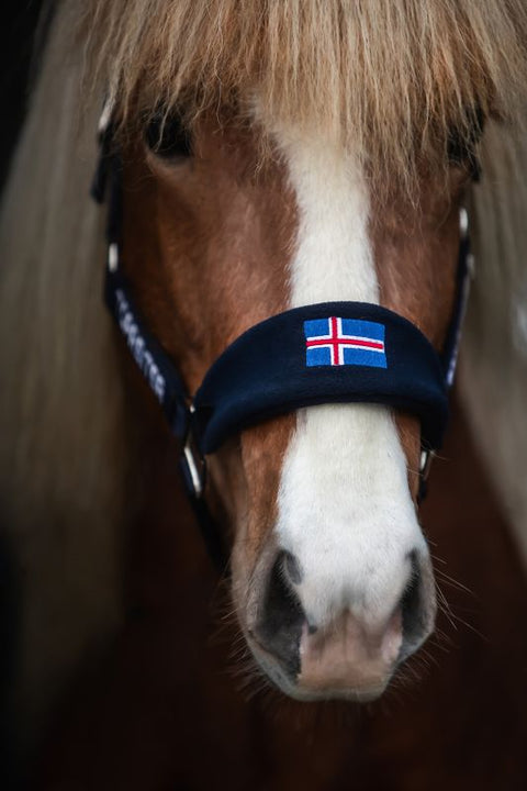 Top Reiter Klaki Halfter Set, Island