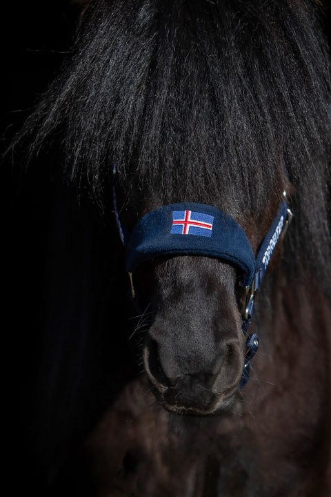 Top Reiter Klaki Halfter Set, Island