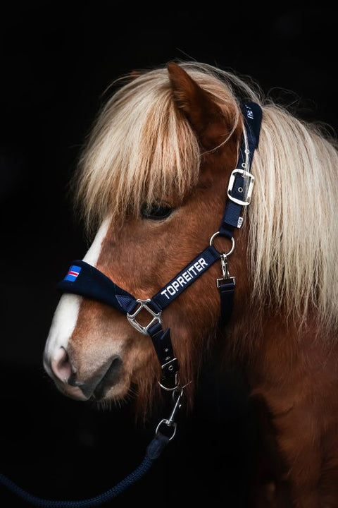 Top Reiter Klaki Halfter Set, Island