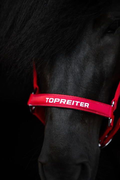 Top Reiter Halfter-Set "TR II", rot
