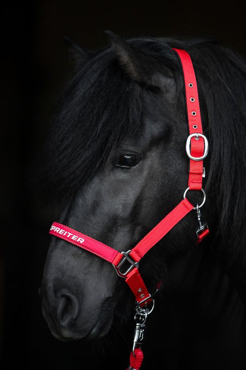 Top Reiter Halfter-Set "TR II", rot