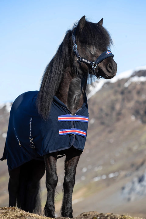 Top Reiter Abschwitzdecke Klaki, Island