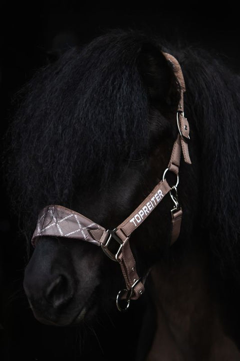 Top Reiter Klaki Halfter Set, Trüffelbraun