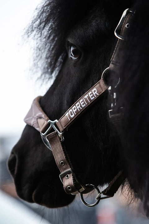 Top Reiter Klaki Halfter Set, Trüffelbraun