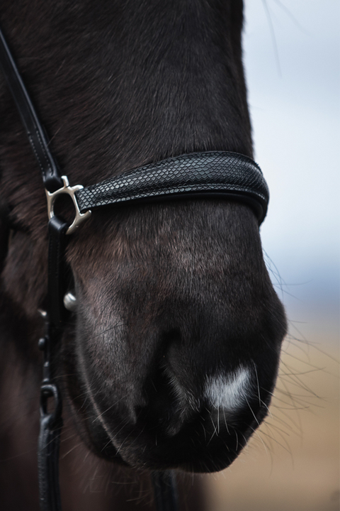 Top Reiter Mosi Tigull Nasenriemen, schwarz gemustert