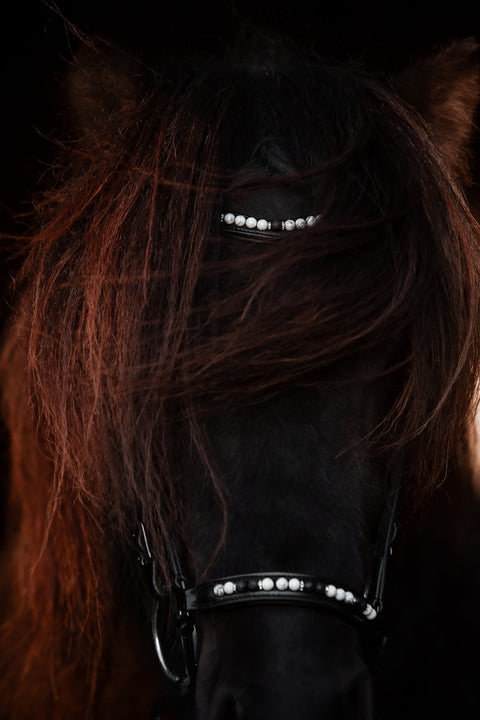 Top Reiter Kopfstück Orka, weiß