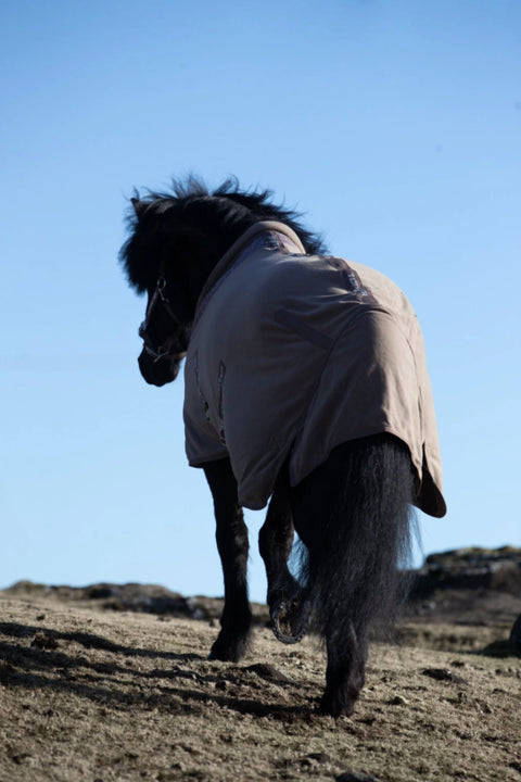 Top Reiter Abschwitzdecke Klaki, Trüffelbraun