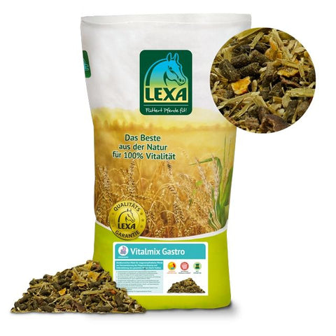 Lexa Vitalmix Gastro, 1KG