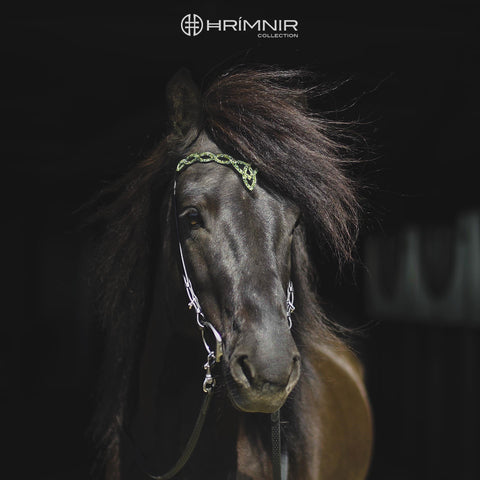 Hrimnir Kopfstück Heritage D - Aurora