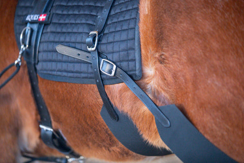 Eques Core Trainer Longiersystem