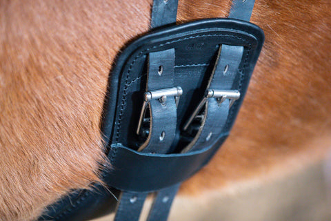 Eques Flex Balance Gurt