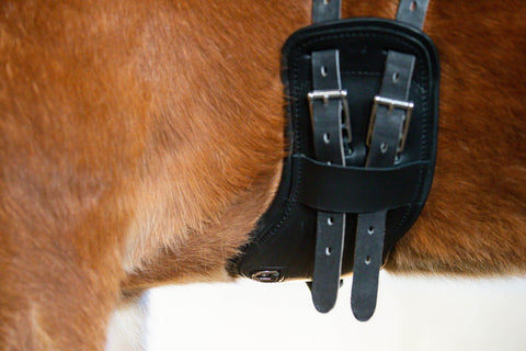 Eques Flex Balance Gurt