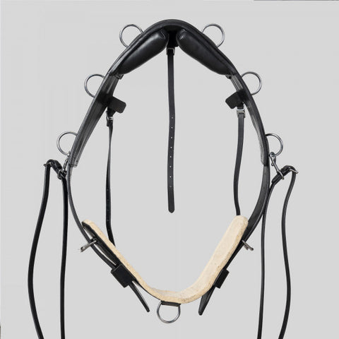 Top rider lungeing girth